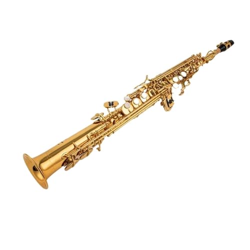 tFbViTbNX \vmTbNX BB ^JS[hbJ[Xg[g vtFbViy P[Xt