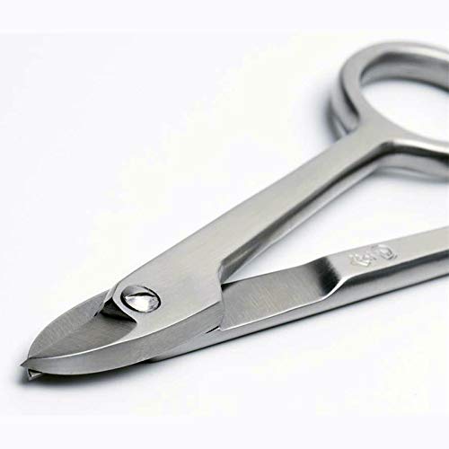 Tianbonsai JTWS-02 Master'S Wire Scissors Tian Bonsai Tools 115 Mm (4.5") 5Cr15Mov Stainless Steel Very Powerful thumb #2