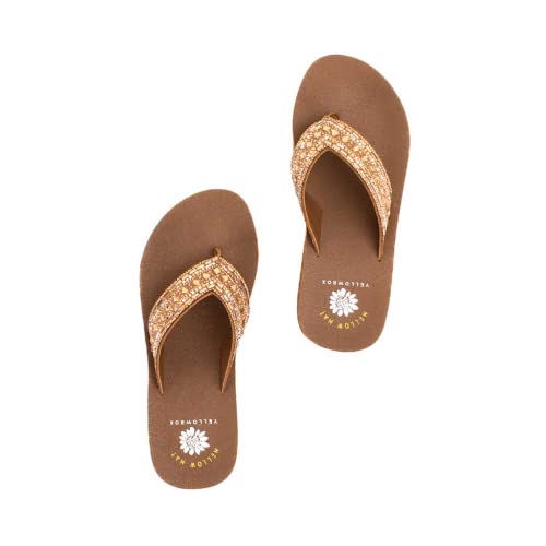 Yellow Box girls Patience3