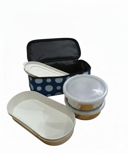 Image of Lunch Box Set with 2 Stainless Steel Container and 1 Plastic Container and Carry Bag, Leak-Proof, Light Weighted and Durable (Blue)