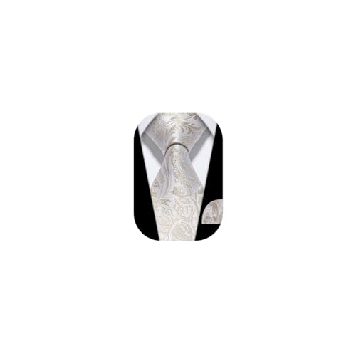Rayhop White gold tie with pocket squares Paisley White Tie with handkerchief Neckties 2-piece Set (A012)