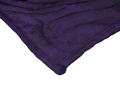 Northwest Beetlejuice Silk Touch Throw Blanket, 50" x 60", Purple Beetle - image 3
