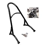 □ Condición: 100% nuevo XIAOZHIWEN Motorcycle Short Passenger Sissy Bar Respaldo Fit Compatible with Harley Sportster XL Iron Nighter 883 1200 Cuarenta Ocho 48 hnxzw