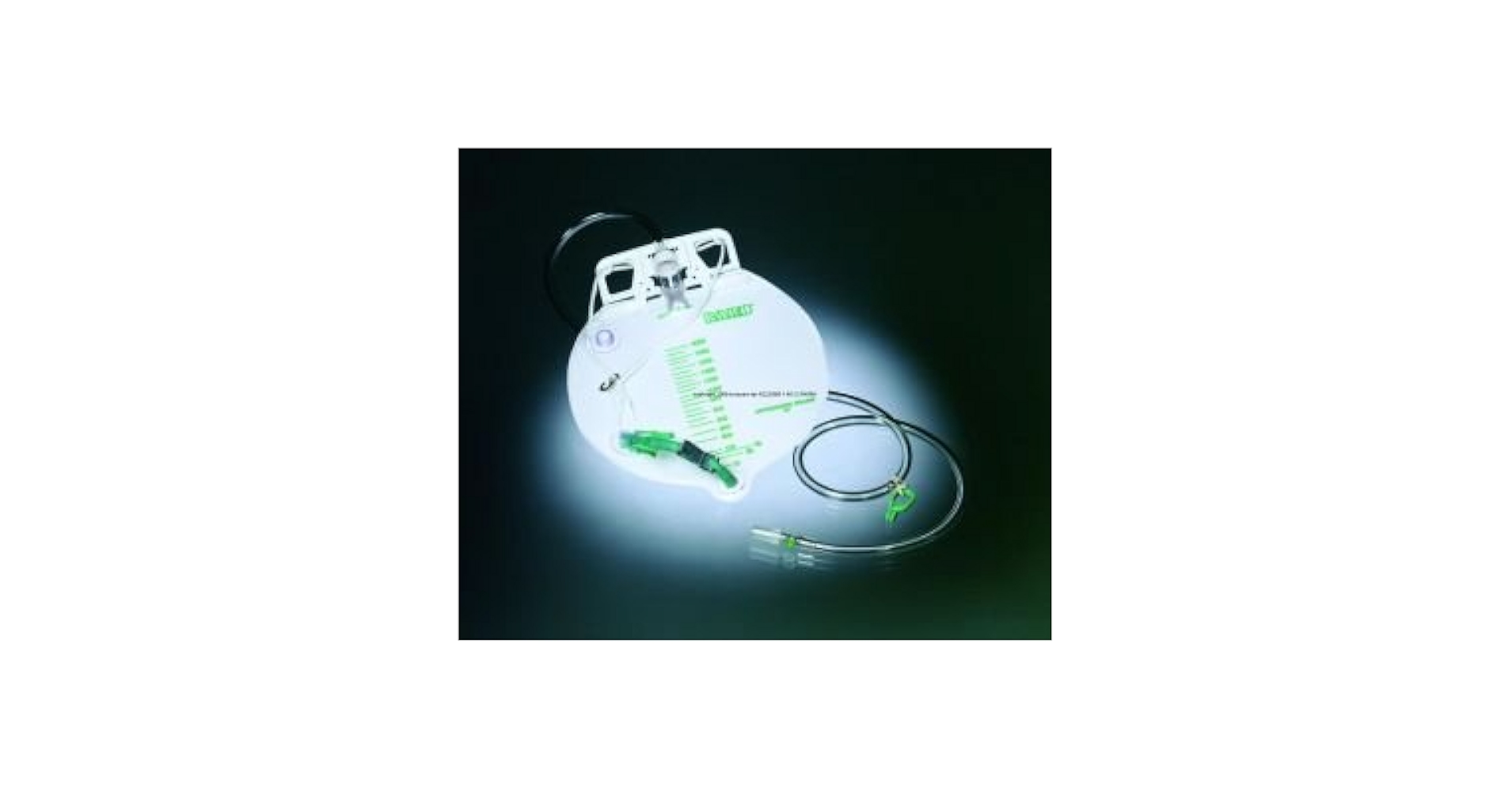 バードブルダーICU 育雛器 育雛器 温湿度管理飼育ケース バードブルダー 育雛・病鳥用 : e