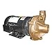 Dayton Bronze 3 HP Centrifugal Pump 208-230/460V, 2ZXA8
