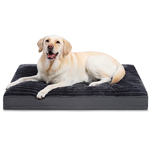 10 Best Big Barker Crate Reviews and Buying Guide for Pet Lovers in 2021 Furry Folly