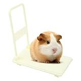 Matériaux sûrs : profitez de jeux en toute sécurité avec ce jouet pour hamster fabriqué en polypropylène de haute qualité qui garantit une structure solide. Il reste sûr et sans odeur pour vos animaux de compagnie et ne se déforme pas facilement, ce qui en fait un jouet fiable pour une utilisation à long terme