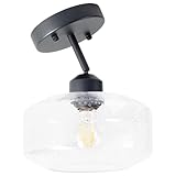 TeHenoo Sloped Ceiling Light with Clear Seeded Glass Shade, Adjustable for...