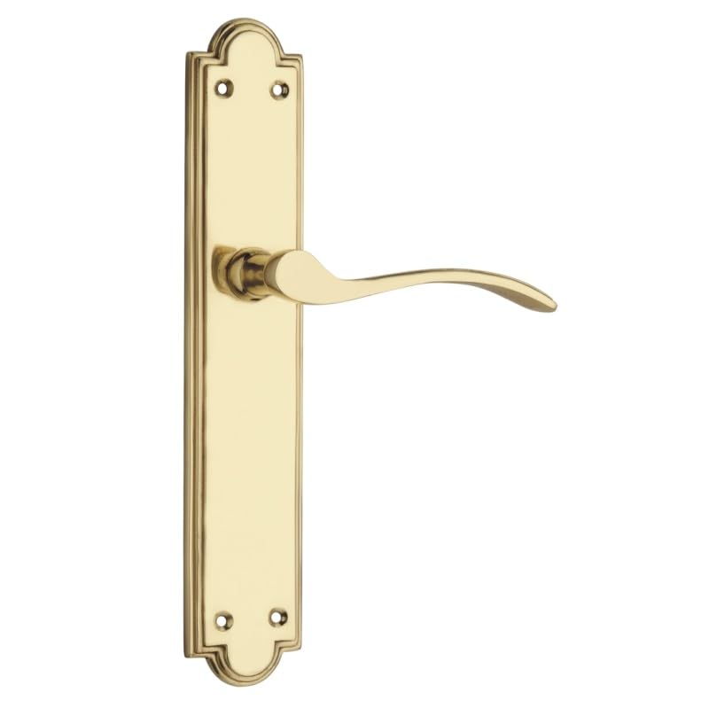 Kooples Hardware Nerva Door Handle on Backplate (241mm x 42mm) – Europrofile, Lock, Bathroom & Latch Variants (85mm Centres) (Lever Bathroom, Polished Brass, 241mm x 42mm)