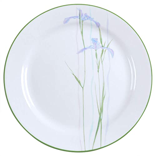 Corelle Impressions 10-1/4-Inch Dinner Plate, Shadow Iris