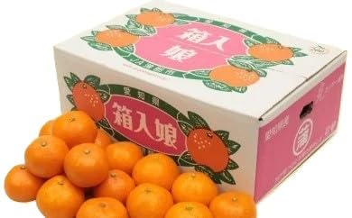 みかん 蒲郡みかん 5Kg」の人気商品一覧・価格比較 - 価格.com