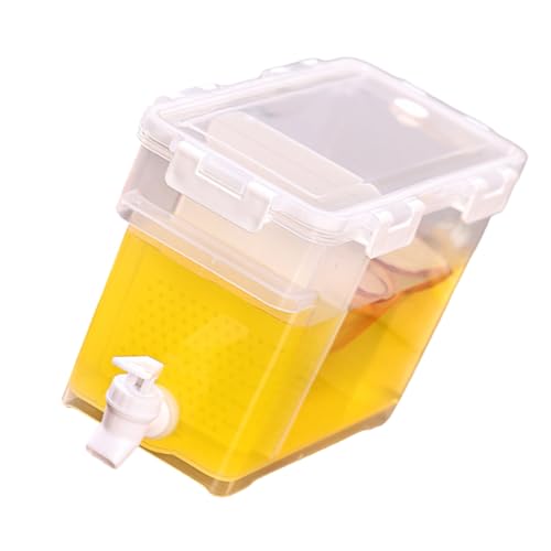 eʃACXfBXyT[Rh~eƒpLb`OCxg|[^uJNefBXyT[p^bvt