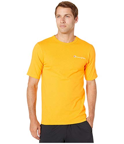 Image of Champion Boys T-Shirt, Kids' T-Shirt For Boys, Lightweight Tee for Kids, Script & Print