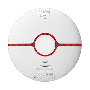 Smoke Detector, Fire Alarms with Battery Operated, Photoelectric Sensor Smoke Alarms with Light Sound Warning, Test Button, Fire Safety for Home Hotel