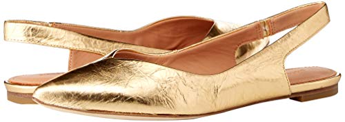 sigerson morrison sunshine