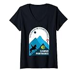 Camino de Santiago a Caballo