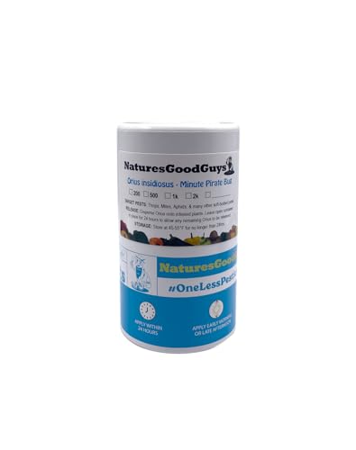 NaturesGoodGuys 1,000 Orius insidiosis - Minute Pirate Bugs - Attacks All Stages of Thrips