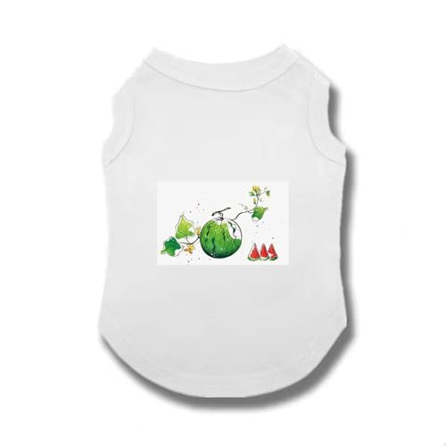 [XANPYO] ybg  TVc ėp ̕  xXg hbOEFA ^ L  3XL tVc ybg Lp Lk U o  Ăh Eѕی ƒ  U