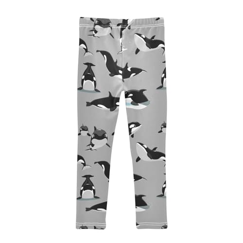 Cartoon Orca Killer Whale Girl's Leggings for Kids Toddler Girls Sweatpants Legging Pants Ballet Tights 4T2