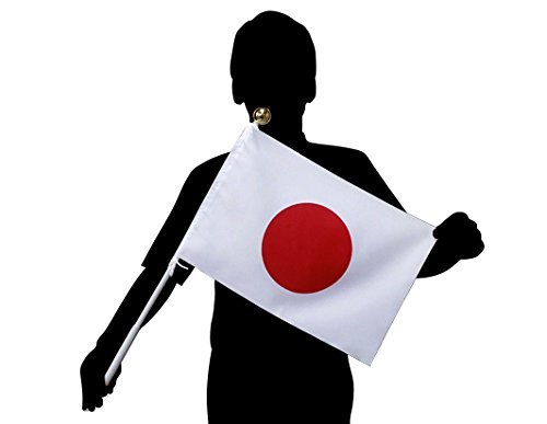 Amazon.co.jp: Sサイズ 日本代表応援用 国旗 65cmスライド式ポール