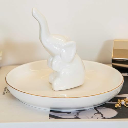 La Mejor Selección de Planta pata de elefante precio Top cinco. 26 La Mejor Selección de Planta pata de elefante precio Top cinco. 26