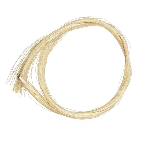 4/4�o�C�I�����|���n�w�A�A�N�Z�T���[(4/4)