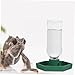 POPETPOP Reptile Water Dispenser Convenient Automatic Waterer for Tortoises and Lizards Water Bowl for Daily Use Compact for Animals Easy to Clean
