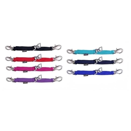 NETPROSHOP Langzeitbrille für Pferde Longenarbeit