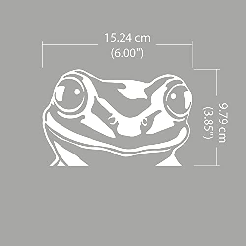 Image of WIRESTER 6 inch Clear Vinyl Decal Sticker Decoration for Car Window (Or Any Flat Surface) - Pond Frog