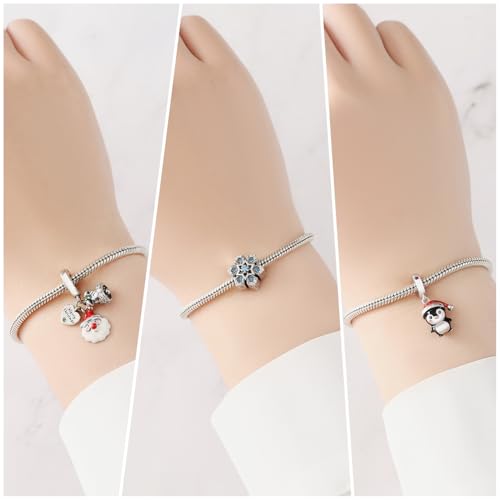 CYCUFF 925 Sterling Silver Charms Suitable for Charm Necklaces, Bracelet Pendants Beads Jewellery Gift for Women3