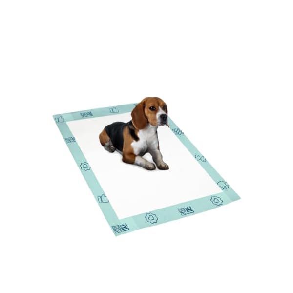 Tapete HigiÃªnico Premium para cÃ£es Petlike Ultrapads Aroma Neutro 80cmx60cm 30 unid. - Imagem 10