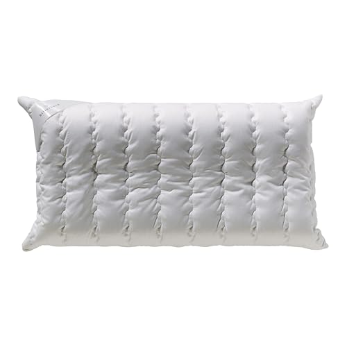 Billerbeck Kopfkissen S20 Visco - Nackenkissen – Kissen in 40 x 80 cm –...