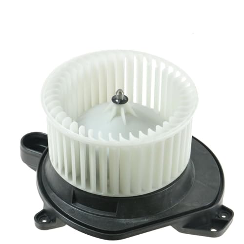 Jaula del Ventilador del Motor de calefacción Ford para Focus 2008-2011 21381746