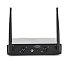 SubZero Wireless Microphone System With 2 Microphones #4