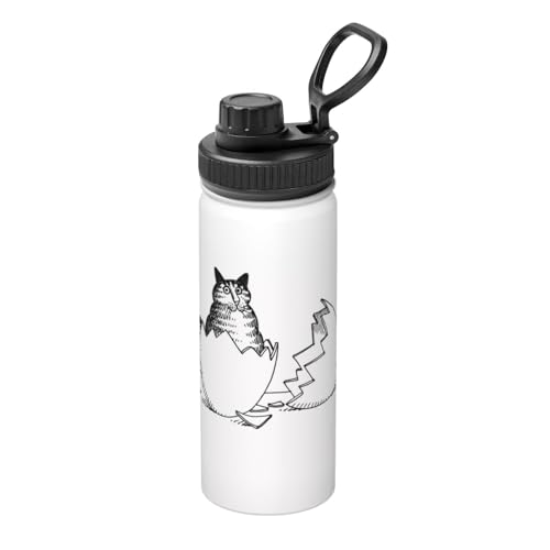 ���� �N���o���L���b�g �����L �X�|�[�c�{�g�� �^��f�M�P�[�^�C�}�O 500ml �X�e�����X�� �T�[���X�J�b�v �e�B�[�J�b�v�}�O �ۉ��ۗ� �ϔM�J�b�v ���J�b�v