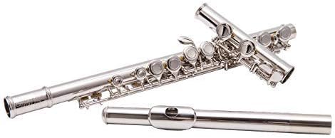 Jinqu YANASON Closed Hole C Flutes 16 Key Nickel Beginner Student with Carrying Case Gloves Cleaning Rod Adjustment Screws and Cloth (16 silver)