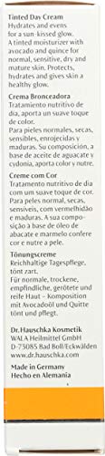 Dr. Hauschka Tinted Day Cream, 1 Fl Oz