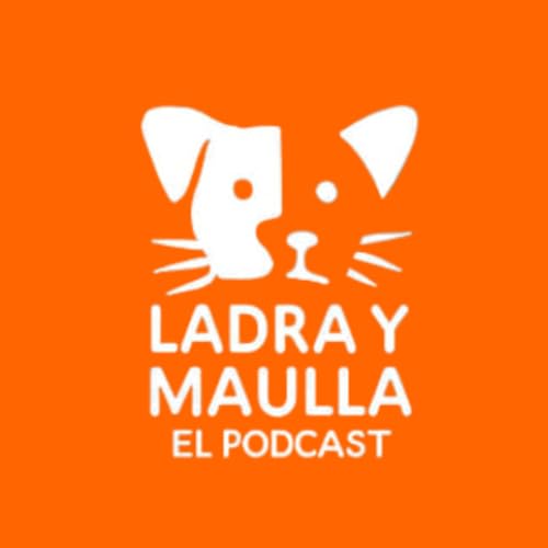 C&oacute;mo prevenir un golpe de calor en tu mascota...