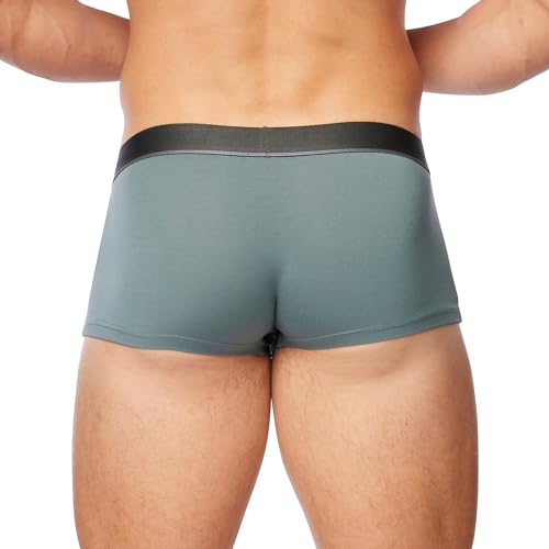 Obviously PrimeMan - Trunk3