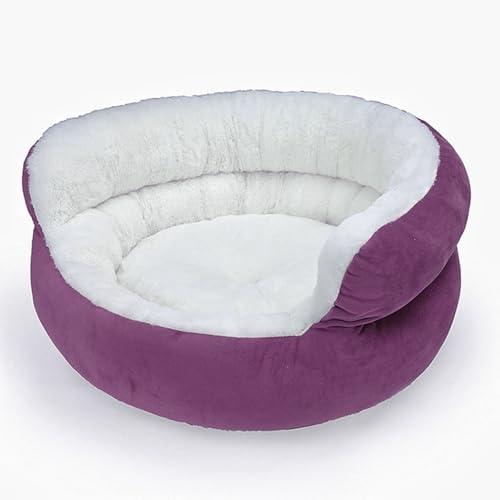 L xbh ی^ ӂӂ  LNbV  g ׂ~ p 􂦂 ybgxbh ybgnEX  Lp [΍ h΍ ʔN p[v M 50*50*23cm