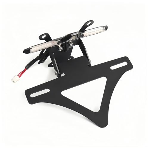 Support de plaque Speed Triple 1200 RS cadre premium Triumph arrière