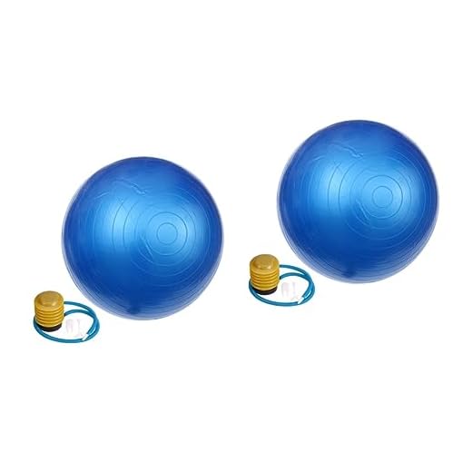 2 Pçs Bolas De Treino Para Exercício Yoga Fitness Equilíbrio Cadeira Balanceamento Estabilidade Ferramenta De Treinamento Anti-Explosão Yoga Bola Balanceador Exercício Bola BESPORTBLE