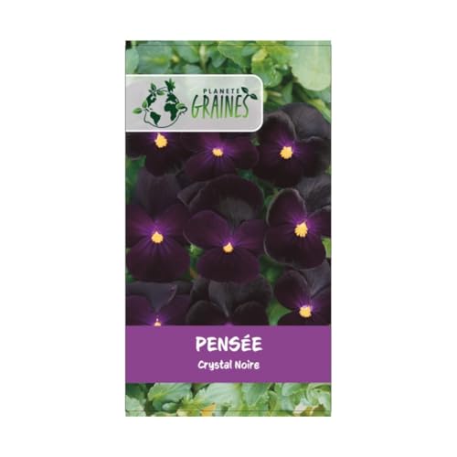 100 graines pensée Noire King - Viola x wittrockiana -plante ornementale