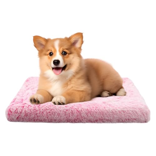 猫用ヒーターパッド - プラッシュクッション | 犬用電気パッド | 室内での日々の家庭の快適な日常と休息、寒い天候の睡眠の暖かさのために