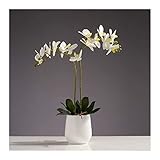Contenido del paquete: 1 * decoración de orquídeas artificiales. Todos los artículos están garantizados como nuevos. Para fines de control de calidad, verificamos todos los elementos uno por uno, si tiene alguna pregunta, no dude en enviarnos un correo electrónico, le responderemos dentro de las 24 horas.