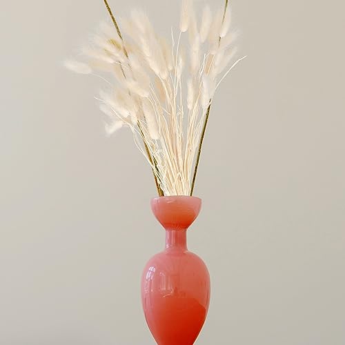 50 unidades de Cola de Conejo Natural Secada para Decoración miniatura 4