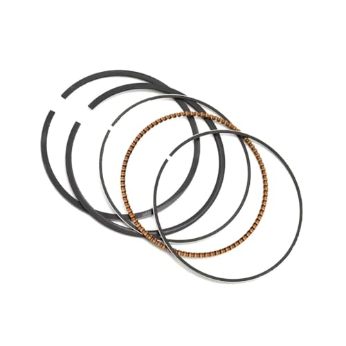 Segments de piston TR250 TR 250 STD alésage 66mm stop perte puissance - 4