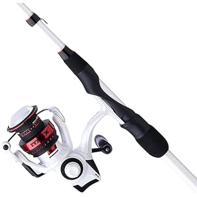 Abu Garcia Max Pro Spinning Reel and Fishing Rod Combo