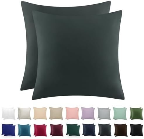RUIKASI Kissenbezug 80x80 2er Set Anthrazit Oeko-Tex Mikrofaser | Kopfkissenbezug 80 x 80 Grau Kissen Bezug mit Reißverschluss, Kissenhülle Weich Atmungsaktiv Pillow Case Pillow Co