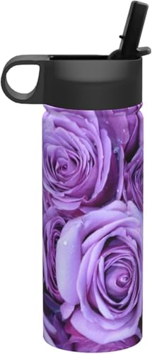 F p[v o ԕ  ^fM ۉ ۗ X|[c{g lC XeX{g X|[cΉ RȂ 530ml j̎q ̎q  v[g